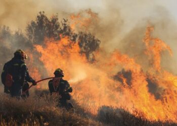 Ιεράπετρα: Σε κατάσταση έκτακτης ανάγκης μετά τη μεγάλη φωτιά (φωτό)