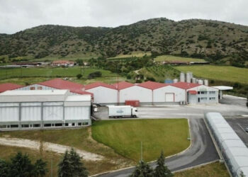 Όπτιμα: Πωλήσεις 214 εκατ. ευρώ, όμως η «μάχη» στα τυριά μείωσε την κερδοφορία