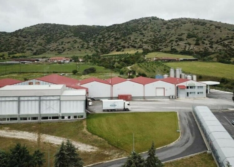 Όπτιμα: Πωλήσεις 214 εκατ. ευρώ, όμως η «μάχη» στα τυριά μείωσε την κερδοφορία