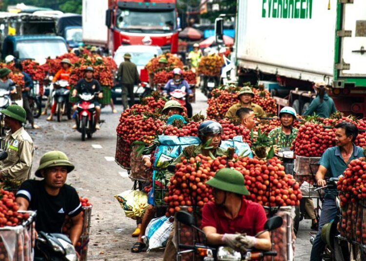 Έκρηξη εισαγωγών φρούτων και λαχανικών: Τι φέρνουμε και από πού