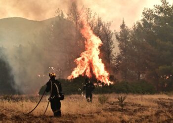 Συναγερμός στο Μενίδι: Φωτιά σε οικοπεδικό χώρο κινητοποιεί ισχυρές πυροσβεστικές δυνάμεις