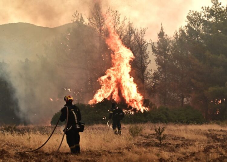 Συναγερμός στο Μενίδι: Φωτιά σε οικοπεδικό χώρο κινητοποιεί ισχυρές πυροσβεστικές δυνάμεις