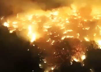 Τουρκία στις φλόγες: 1.000 πυρκαγιές σε 14 ημέρες – Εφιάλτης στην Προύσα (video)