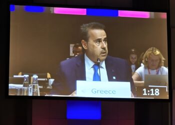 Παπασταύρου: Ρεαλιστικοί στόχοι για το κλίμα χωρίς θυσία της κοινωνικής συνοχής