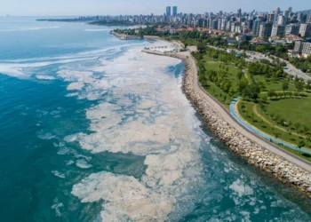 Κωνσταντινούπολη: Εφιάλτης η «θαλάσσια βλέννα» στις ακτές της Πόλης