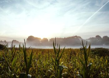 ΥΠΑΑΤ: «Φρένο» στις πληρωμές βιολογικών- Ξεκινούν 3πλοί έλεγχοι πανελλαδικά