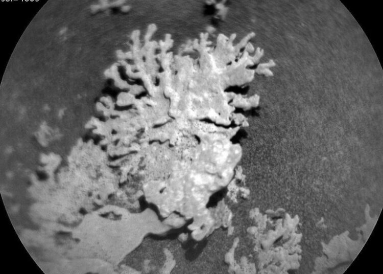 Άρης: Η NASA εντόπισε «κοράλλι» δισεκατομμυρίων ετών