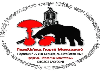 Γρεβενά: Η πρωτεύουσα των μανιταριών γιορτάζει γεύση και υγεία