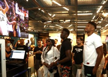 Δίωξη Ηλεκτρονικού Εγκλήματος για απειλητικό μήνυμα στην οικογένεια Αντετοκούνμπο