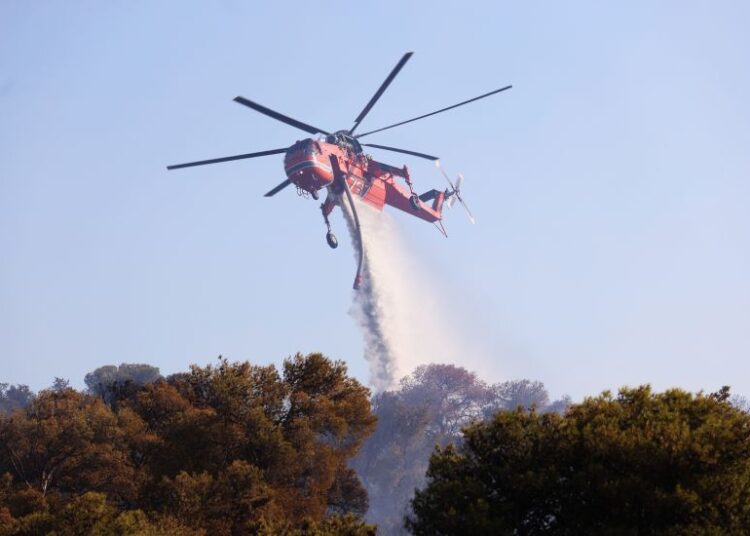 Φωτιά στη Λαγόμανδρα Χαλκιδικής: Μεγάλη κινητοποίηση πυροσβεστικών δυνάμεων