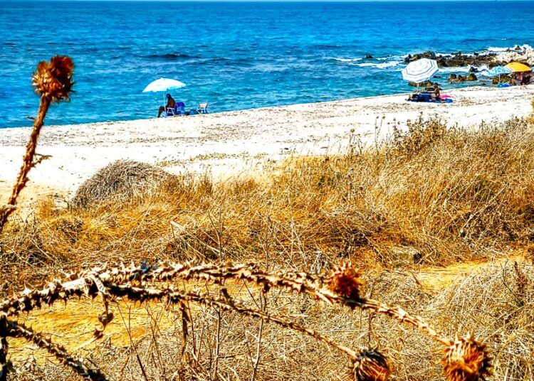 Αύγουστος 2025 στο κλιματικό «κόκκινο»: Καύσωνες, ρεκόρ θερμοκρασιών και θάνατοι