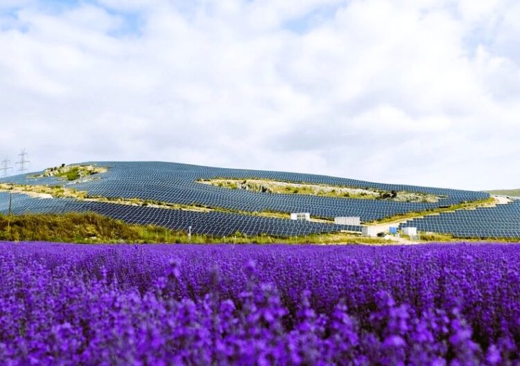 HELLENiQ ENERGY – Apple: «Πράσινη» συμμαχία «μαμούθ» στην Κοζάνη