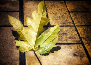 Ο ήλιος κυριαρχεί ξανά αλλά οι νεφώσεις «κρυφοκοιτάζουν» τα ορεινά