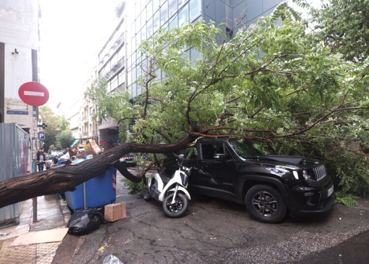 Κακοκαιρία στην Αθήνα: Δέντρο καταπλάκωσε μοτοσικλετιστή στα Εξάρχεια – ποιος έχει ευθύνη για τη συντήρηση;