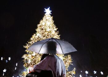 Φωταγωγήθηκε το χριστουγεννιάτικο δέντρο της Αθήνας… παρά τη βροχή (φωτό)