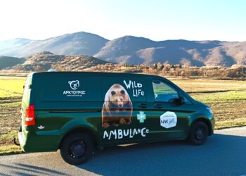 Το πρώτο ασθενοφόρο άγριων θηλαστικών στην Ελλάδα απέκτησε ο Αρκτούρος