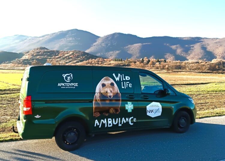 Το πρώτο ασθενοφόρο άγριων θηλαστικών στην Ελλάδα απέκτησε ο Αρκτούρος