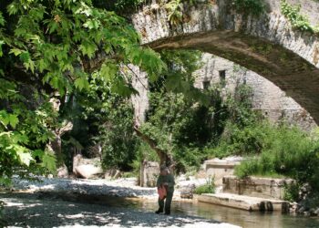 Δήμος Ζίτσας