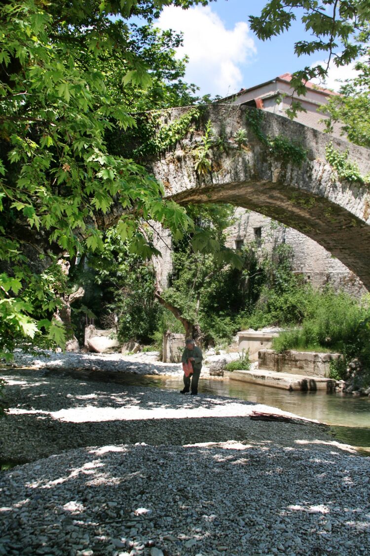Δήμος Ζίτσας