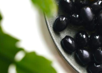 Μαύρες επιτραπέζιες ελιές: Επάρκεια παραγωγής, αλλά ανησυχία για εργάτες και δασμούς