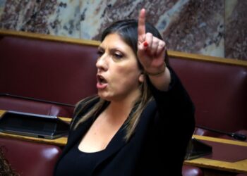 Από την Ολομέλεια στην Άμεση Δράση: 48 ώρες ακραίας έντασης στη Βουλή από την Ζωή