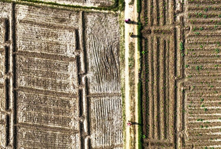 De minimis 2,1 εκατ.€ σε αγρότες Έβρου και Ημαθίας: Ποιοι και πόσα πληρώνονται