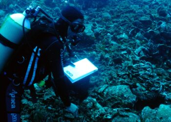 Εθνικά θαλάσσια πάρκα: Εγκρίθηκαν οι ειδικές μελέτες για Ιόνιο και Νότιες Κυκλάδες