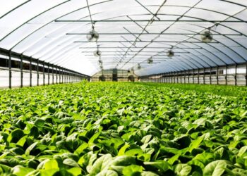 Σχέδια Βελτίωσης: Νέος κύκλος αγροτικών επενδύσεων άνω των 500 εκατ.€