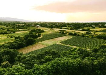 Νέο κύμα εποπτείας στα έργα του Ταμείου Ανάκαμψης στον πρωτογενή τομέα