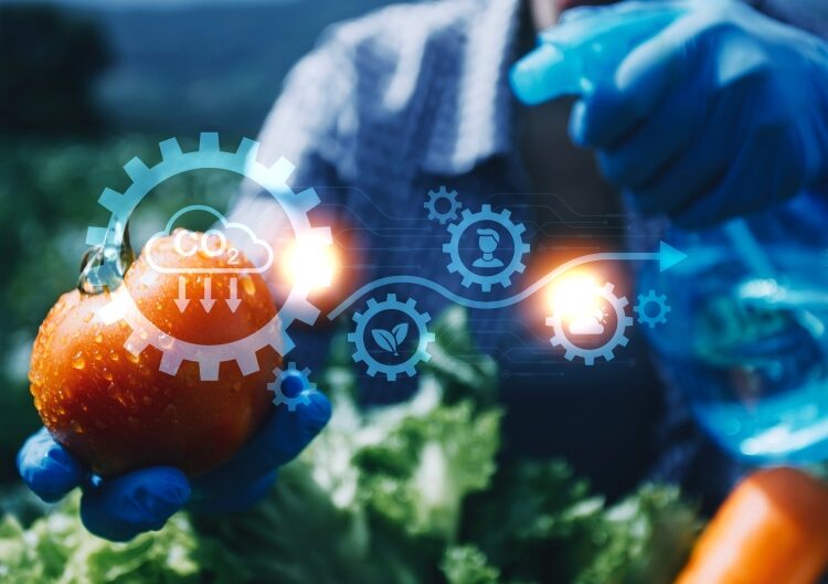 Νέοι αγρότες, ΚΑΠ και χρηματοδτικά εργαλεία