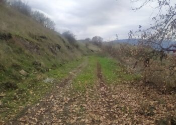 Τραγωδία ανοιχτά της Χίου: 15 νεκροί μετά από σύγκρουση πλωτού του Λιμενικού με σκάφος μεταναστών