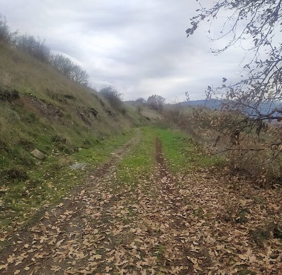 Τραγωδία ανοιχτά της Χίου: 15 νεκροί μετά από σύγκρουση πλωτού του Λιμενικού με σκάφος μεταναστών