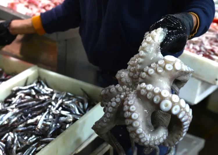 Καθαρά Δευτέρα: Οι κρίσιμες οδηγίες του ΕΦΕΤ για θαλασσινά και νηστίσιμα