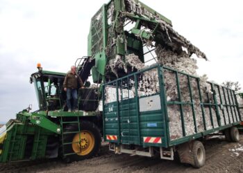 Η Ελλάδα πρωταθλήτρια στο ευρωπαϊκό βαμβάκι: Ηγεμονία στην ΕΕ, περιφερειακός ρόλος παγκοσμίως