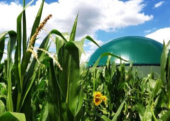 Ανατολική Μακεδονία-Θράκη: Το νέο ενεργειακό στοίχημα της Ελλάδας με «πράσινα αέρια» και βιομεθάνιο