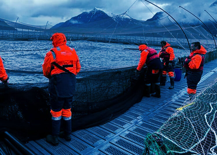 Deal-ορόσημο στην ιχθυοκαλλιέργεια: Η Cooke Aquaculture αποκτά τα δάνεια 410 εκατ. ευρώ της Avramar Greece