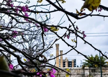 Καιρός 25ης Μαρτίου: Βροχές, καταιγίδες και ισχυροί άνεμοι – Βελτίωση από το μεσημέρι