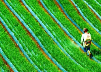 Σοκ στον φώσφορο: Ελλείψεις λιπασμάτων και φόβοι για νέο κύμα ακρίβειας