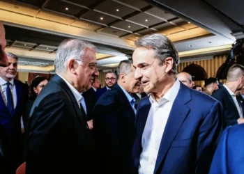 ΜΗΤΣΟΤΑΚΗΣ ΚΑΙ ΘΕΟΔΩΡΙΚΑΚΟΣ