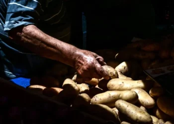 Μπαράζ ελέγχων στην αγορά τροφίμων: Πρόστιμα και παραπλανητική επισήμανση προϊόντων