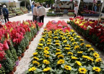 Αργία Πρωτομαγιάς: Πότε μεταφέρεται – Τι ισχύει φέτος για εργαζόμενους και επιχειρήσεις