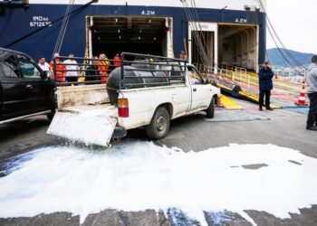 «Έκρηξη» αγανάκτησης από κτηνοτρόφους της Λέσβου: Μπλόκο στο λιμάνι για ζημιές άνω των €9 εκατ.