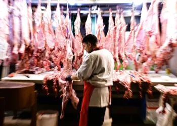 Πάσχα 2026: «Σαφάρι» ελέγχων στην αγορά – Πού διαμορφώνονται οι τιμές στο αρνί