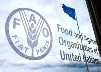 Παγκόσμιο σοκ στα τρόφιμα: Οι τιμές εκτοξεύονται σε υψηλό τριετίας λόγω πολέμου και ενέργειας