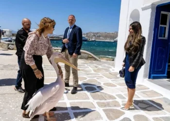 Η Μύκονος στο επίκεντρο αμερικανικού ενδιαφέροντος: Το μήνυμα Γκίλφοϊλ