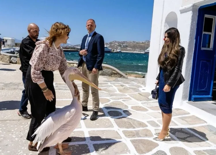 Η Μύκονος στο επίκεντρο αμερικανικού ενδιαφέροντος: Το μήνυμα Γκίλφοϊλ