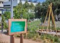 ΔΕΗ: 23 Mini Parks σε Αθήνα και Θεσσαλονίκη – Νέοι χώροι πρασίνου για πιο βιώσιμες πόλεις