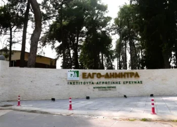 ΕΛΓΟ-ΔΗΜΗΤΡΑ: Νέος κύκλος εγγραφών στις Δημόσιες ΣΑΕΚ για το 2026-2027
