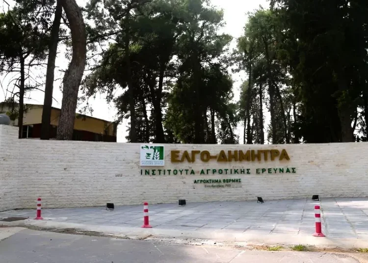 ΕΛΓΟ-ΔΗΜΗΤΡΑ: Νέος κύκλος εγγραφών στις Δημόσιες ΣΑΕΚ για το 2026-2027