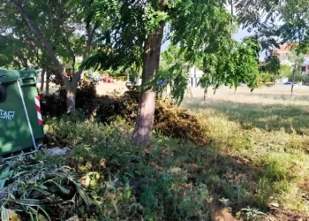 Τελευταία προθεσμία για τα ακαθάριστα οικόπεδα: Από την Τρίτη ξεκινούν οι έλεγχοι και οι κυρώσεις